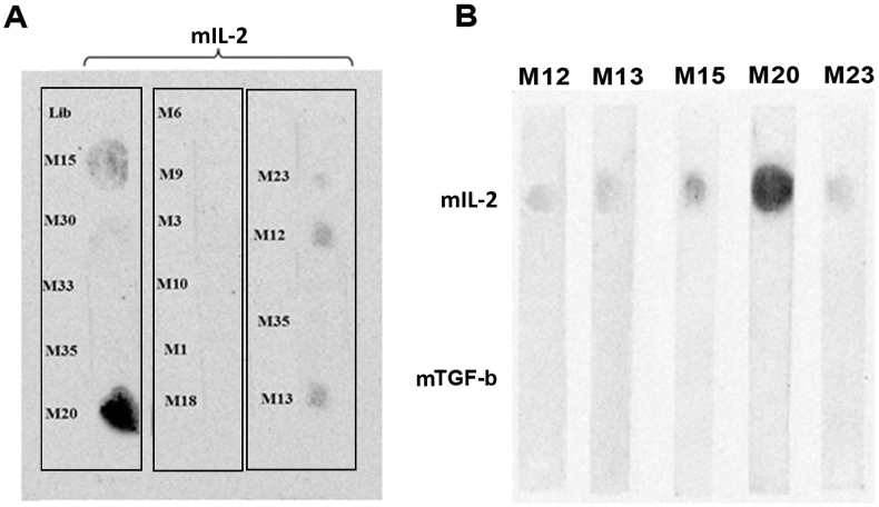 Figure 4