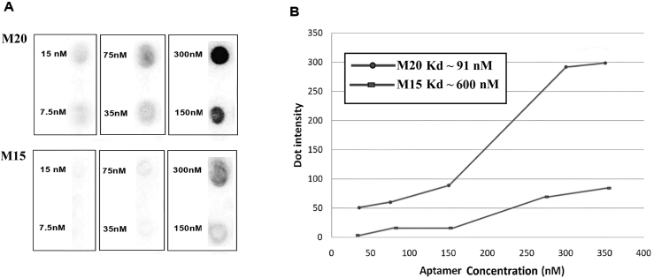 Figure 6