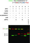 Figure 10.