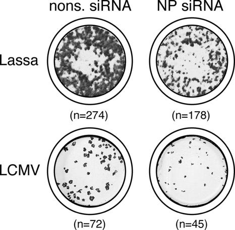 FIG. 5.