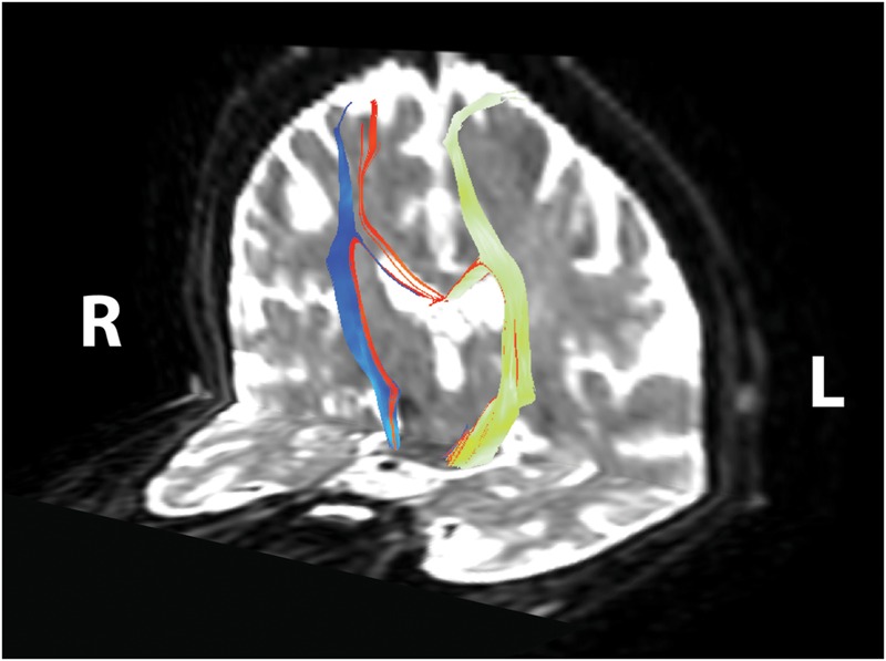 FIGURE 3