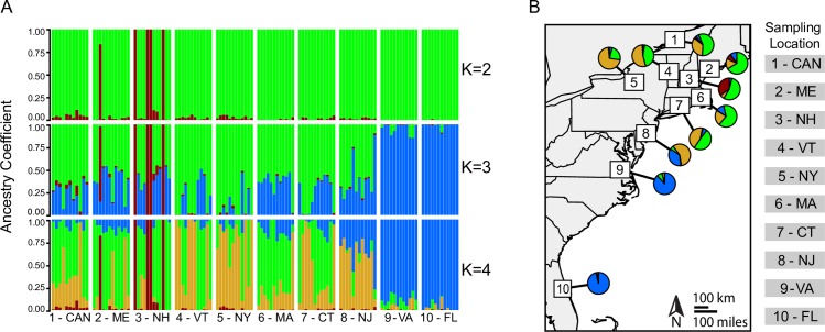 Fig 4