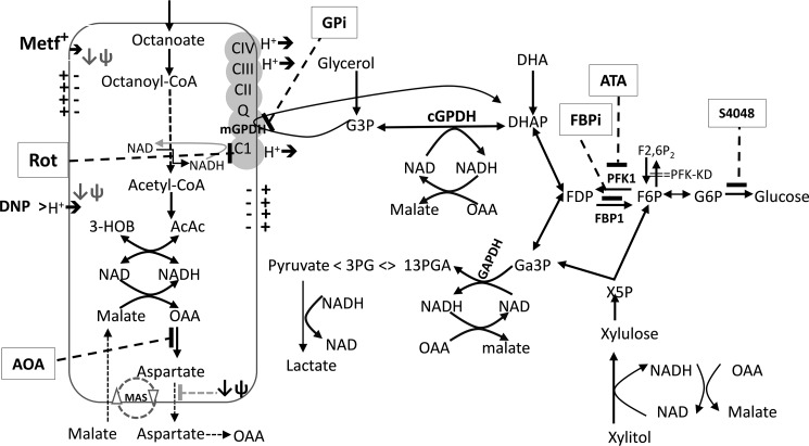 Figure 11.