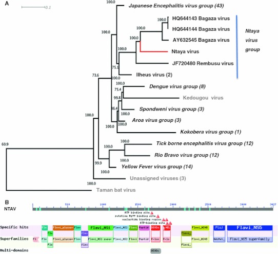 Fig. 1