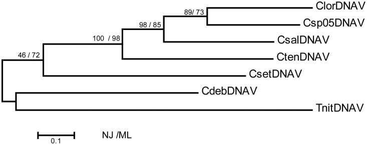 Figure 6