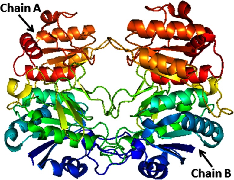 Fig. 1