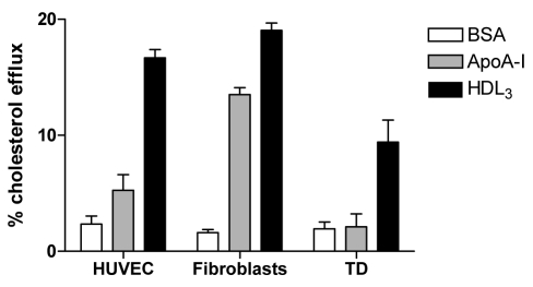 Figure 2)