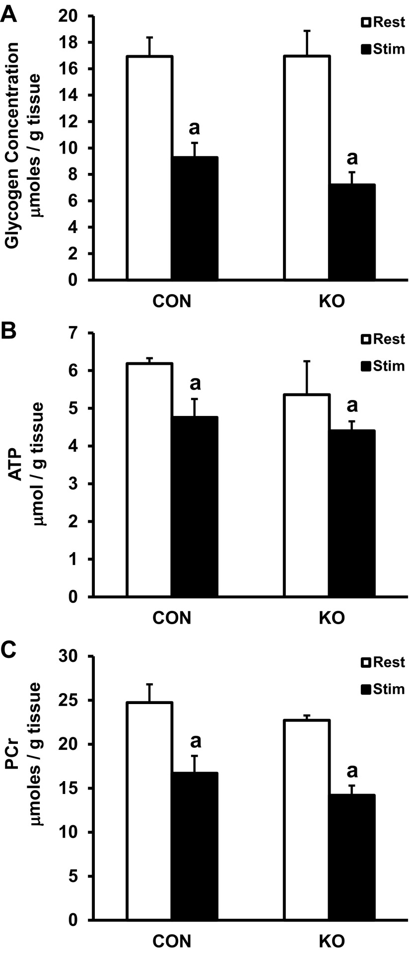 Fig. 9.