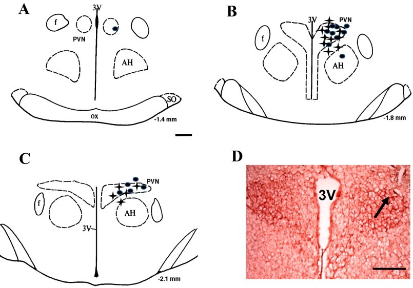 Fig. 7.