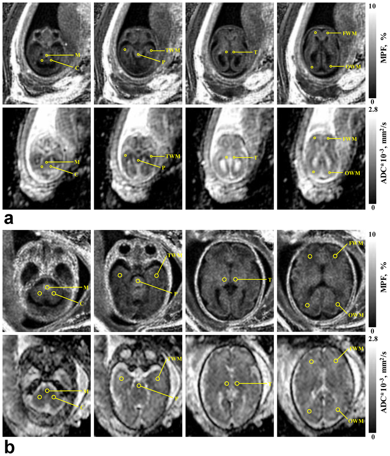 FIGURE 1: