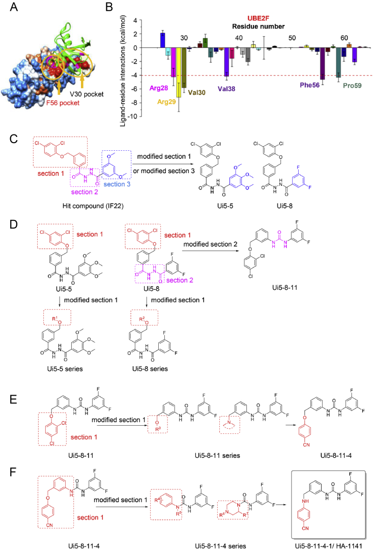 Figure 1