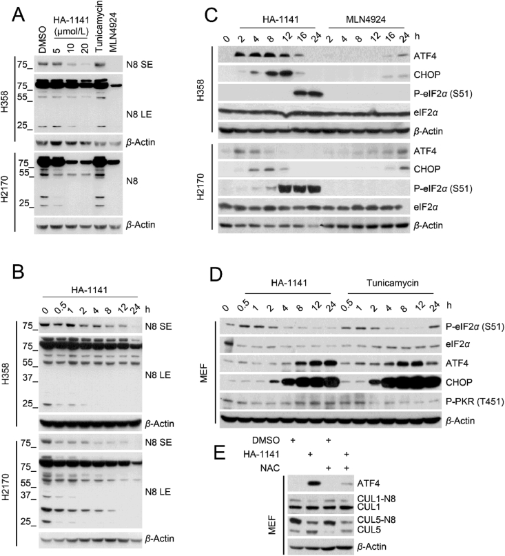 Figure 6