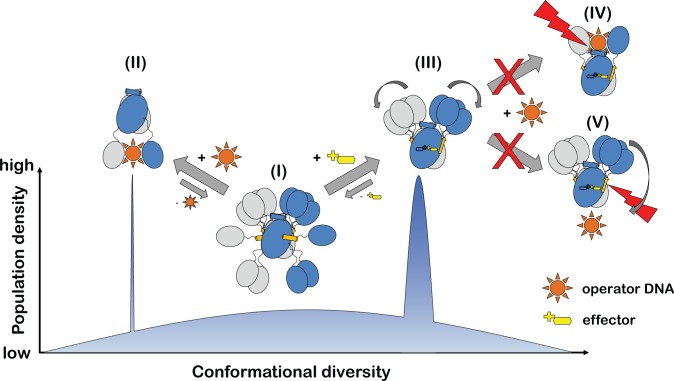 Fig 10