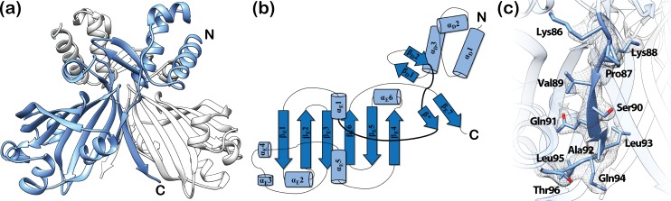 Fig 4