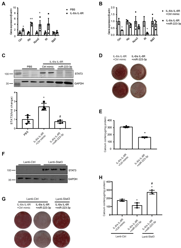 Figure 7