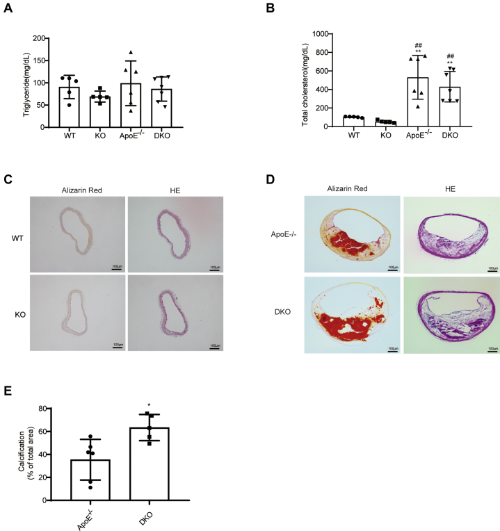 Figure 3