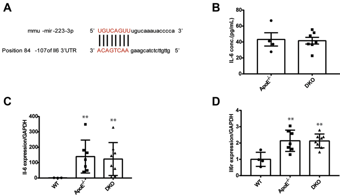 Figure 5