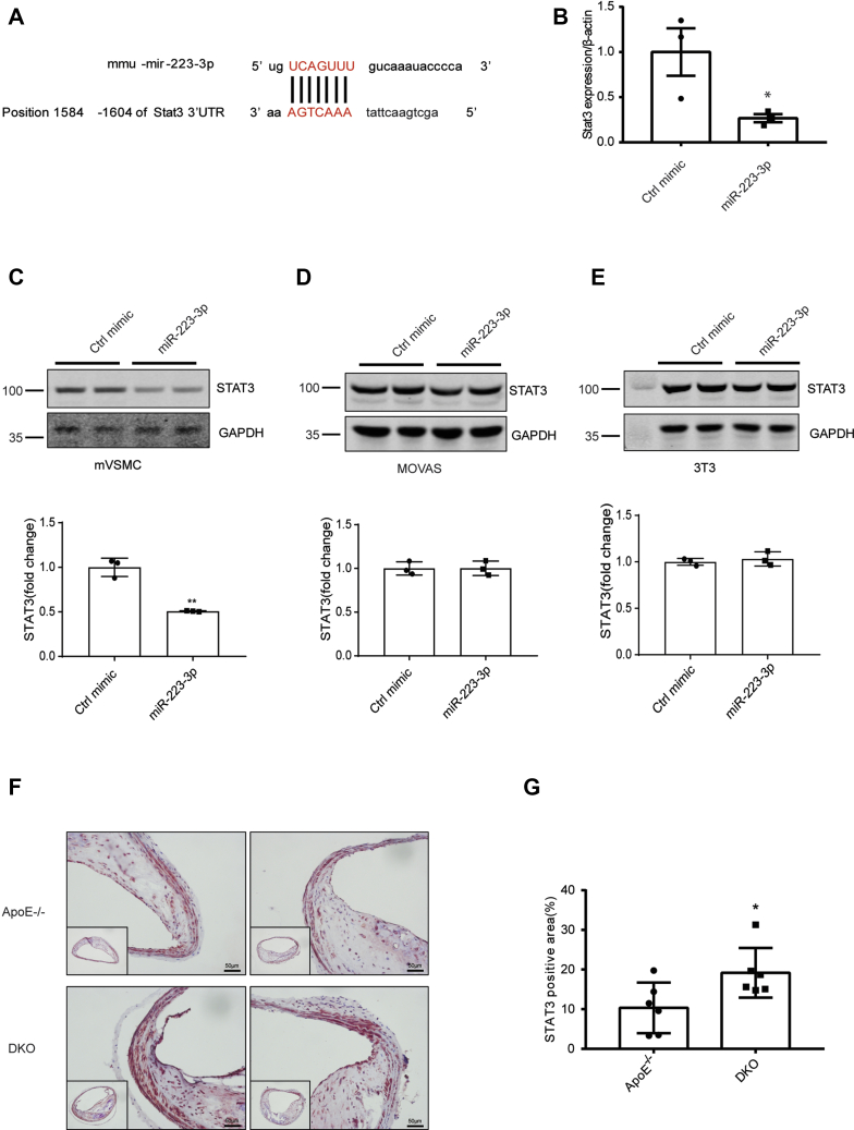 Figure 6