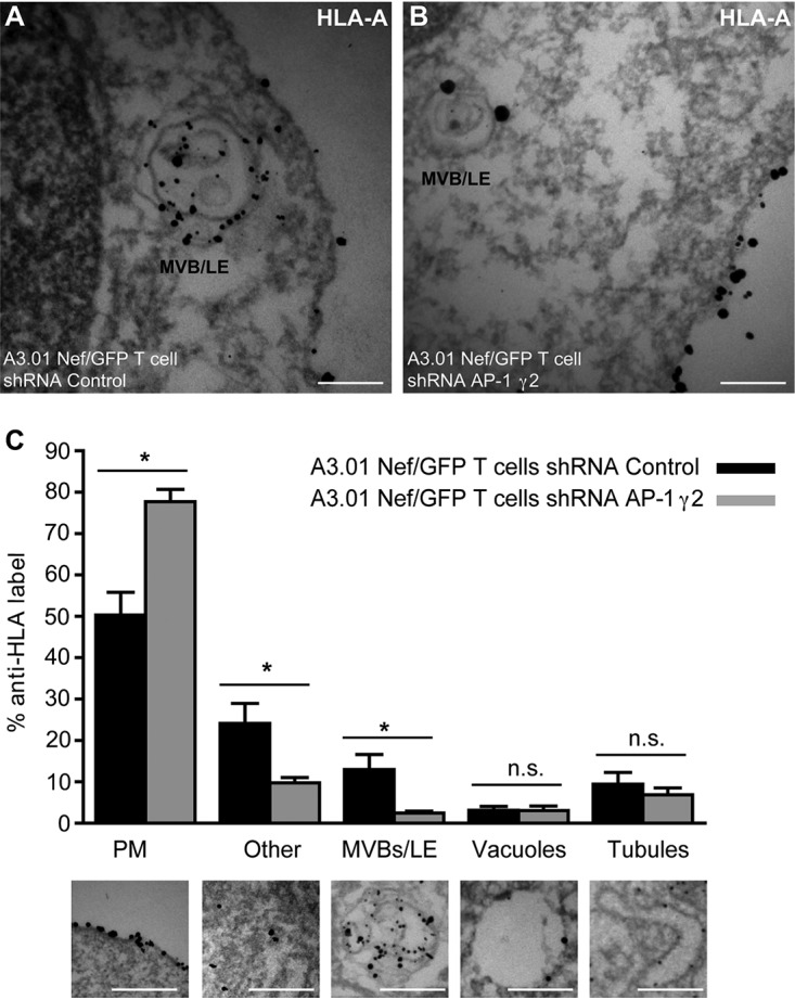 FIG 6