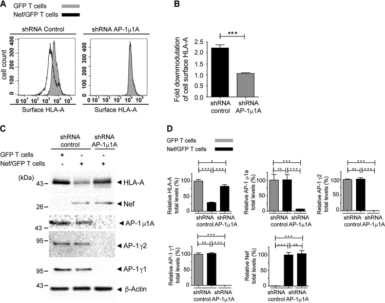 FIG 3