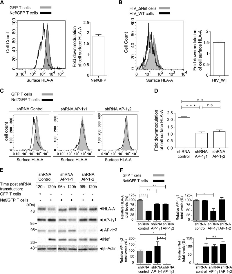 FIG 2