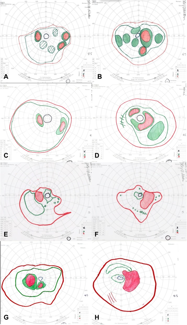 Fig. 1