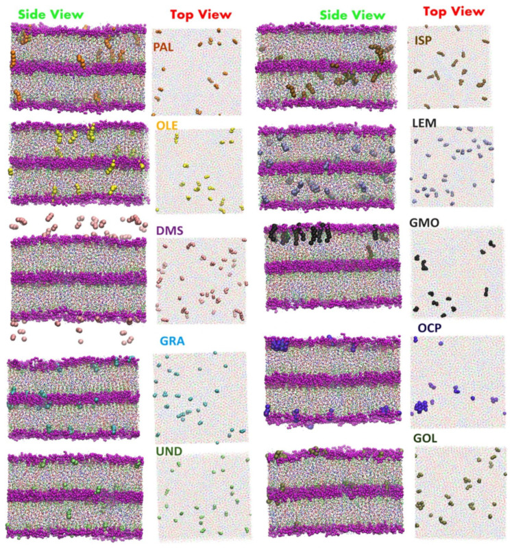 Figure 12