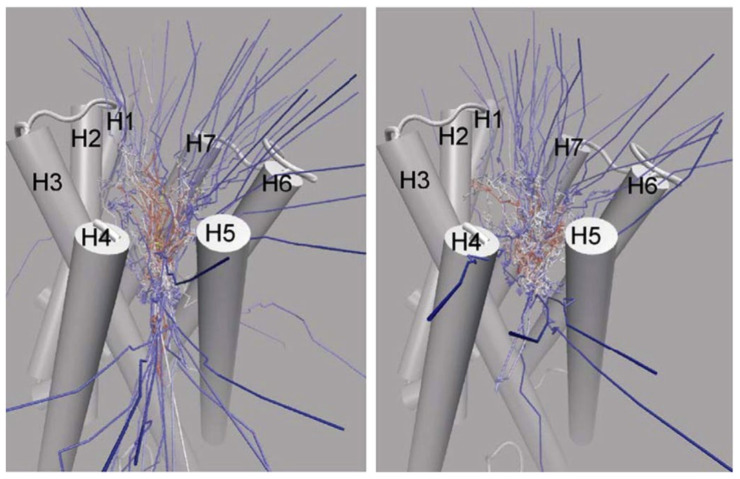 Figure 20