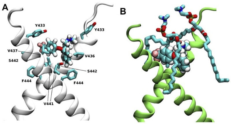 Figure 23