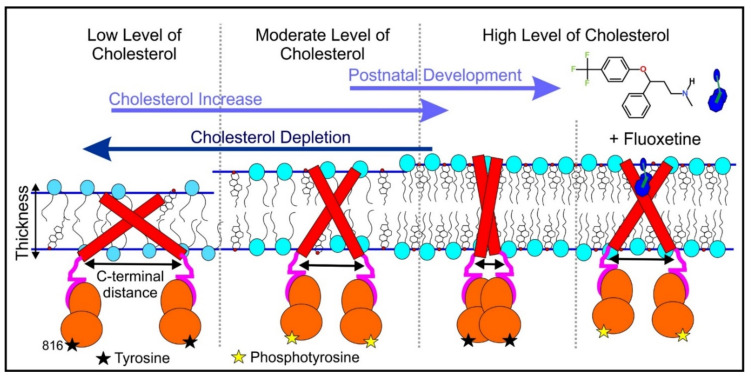 Figure 24