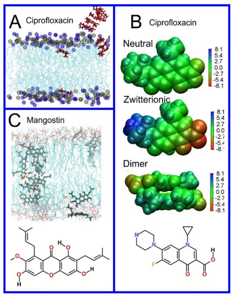 Figure 11