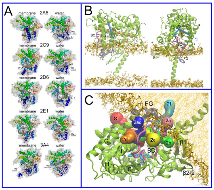 Figure 21