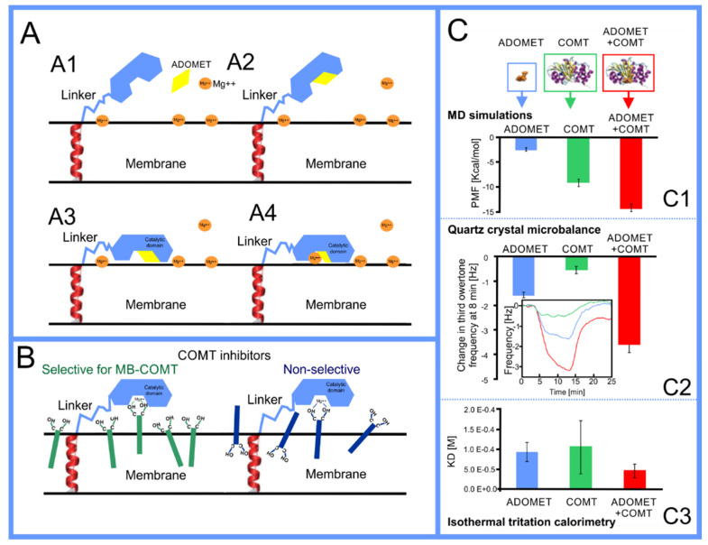 Figure 22