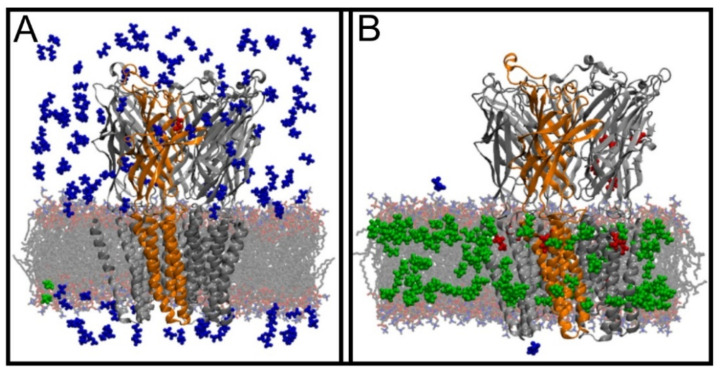 Figure 19