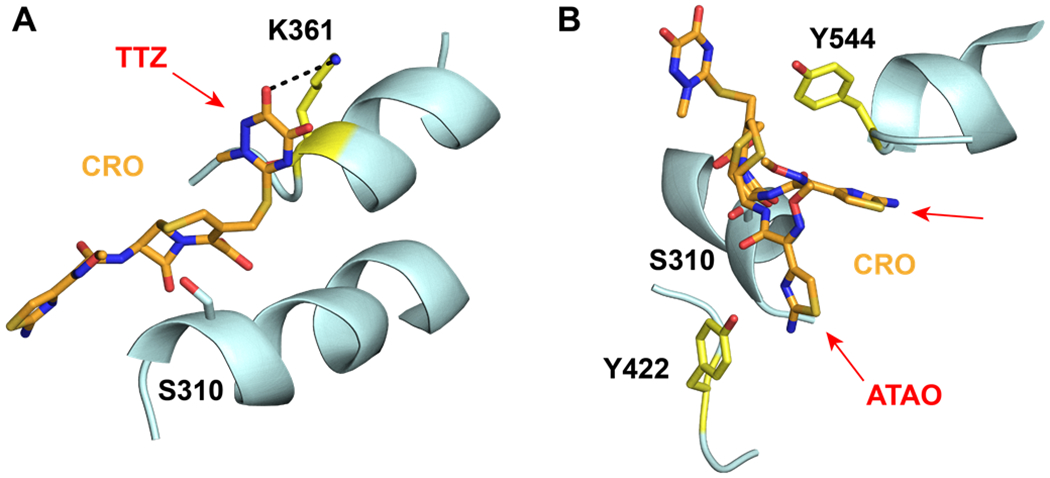 Figure 3: