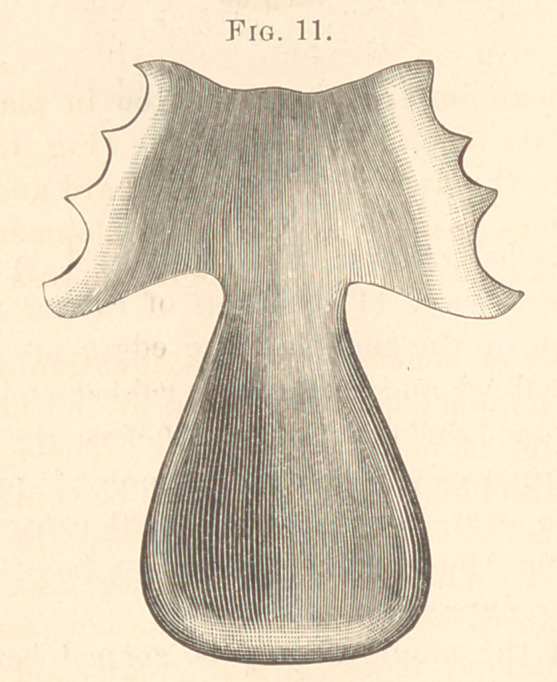 Fig. 11.