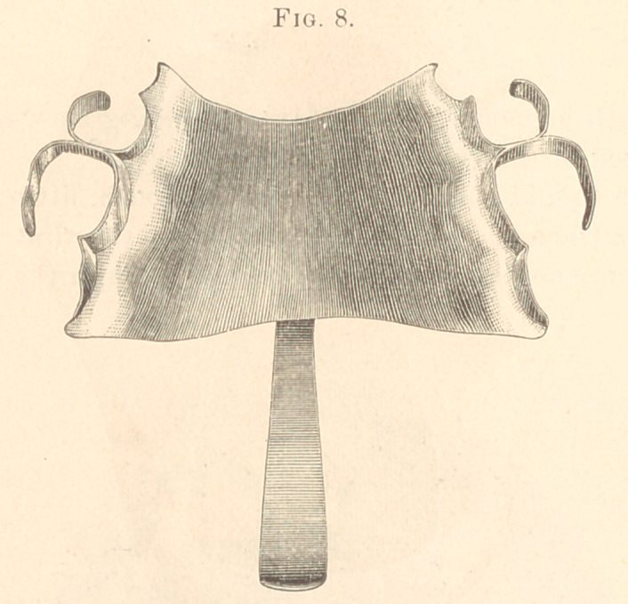 Fig. 8.