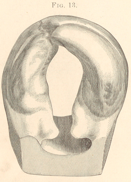 Fig. 13.