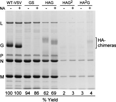 FIG. 4