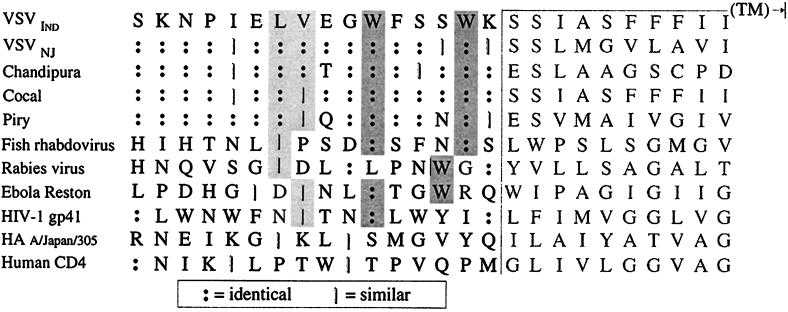 FIG. 7