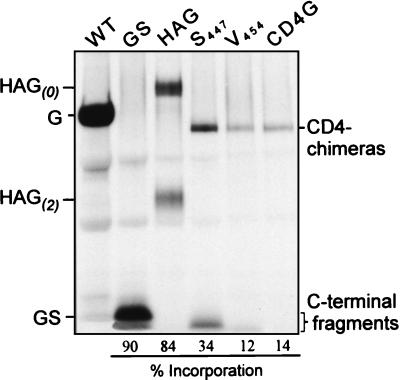 FIG. 6