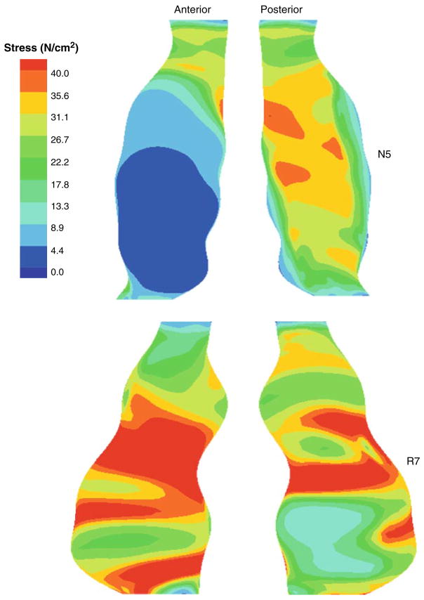 FIGURE 6