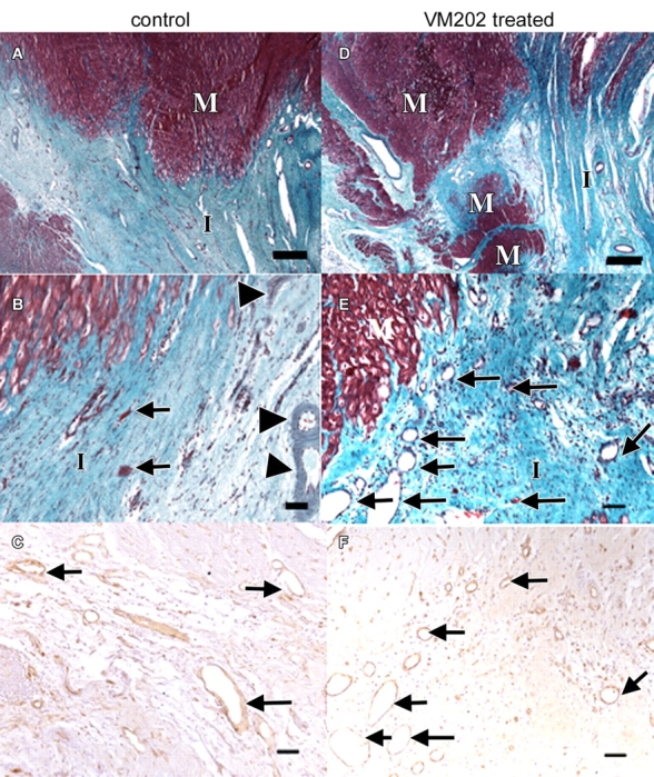 Figure 7: