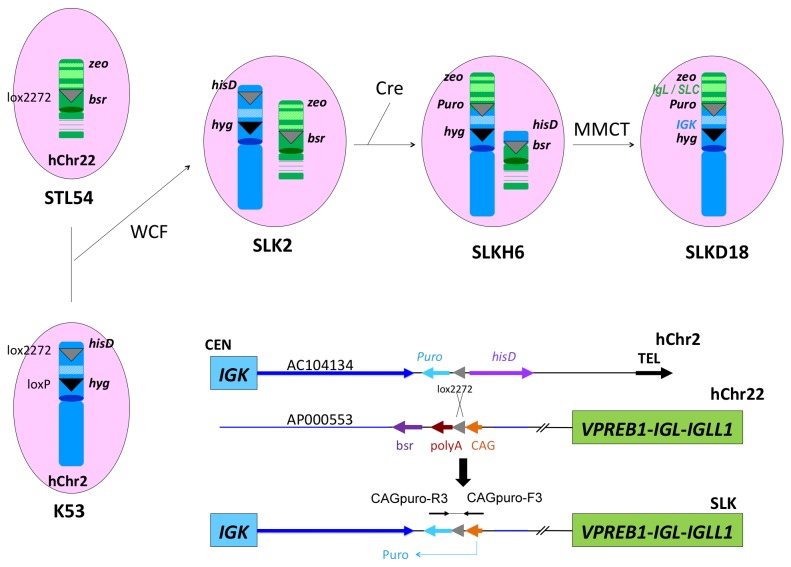 Figure 6