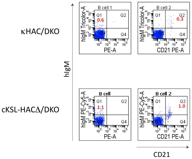 Figure 10