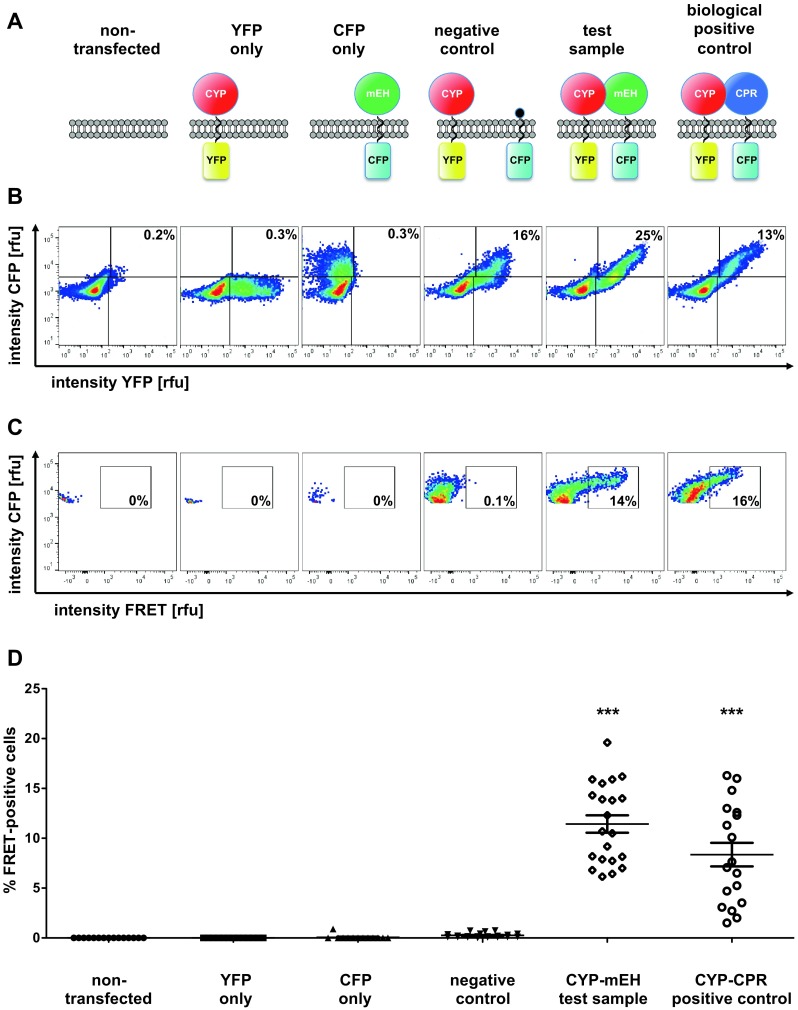 Fig. 4