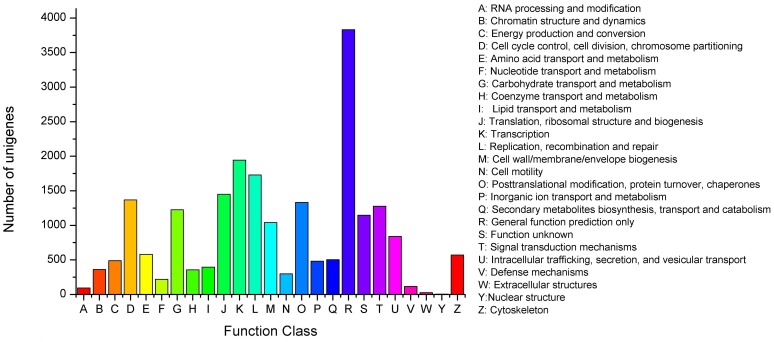 Figure 7