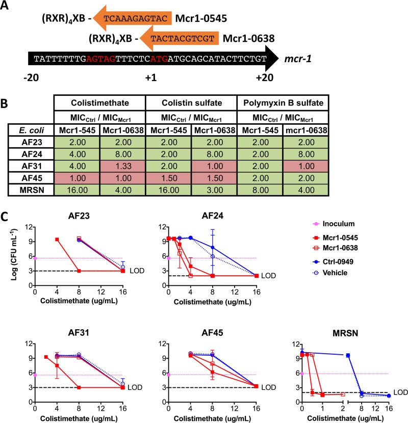 FIG 2 