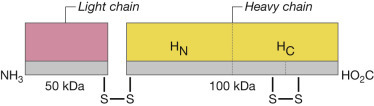 Figure 12.1