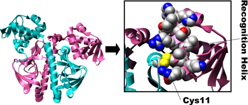 FIGURE 7.